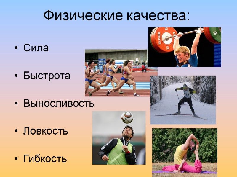 Физические качества: Сила  Быстрота  Выносливость  Ловкость  Гибкость